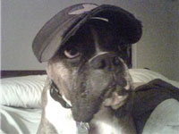 Jack in a Visor Jack in a Visor