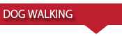 Dog Walking Dog Walking